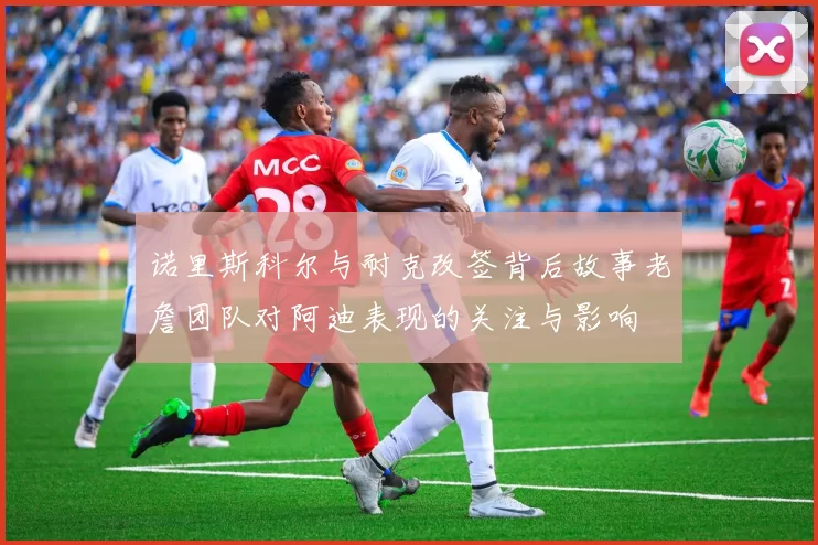 诺里斯科尔与耐克改签背后故事老詹团队对阿迪表现的关注与影响