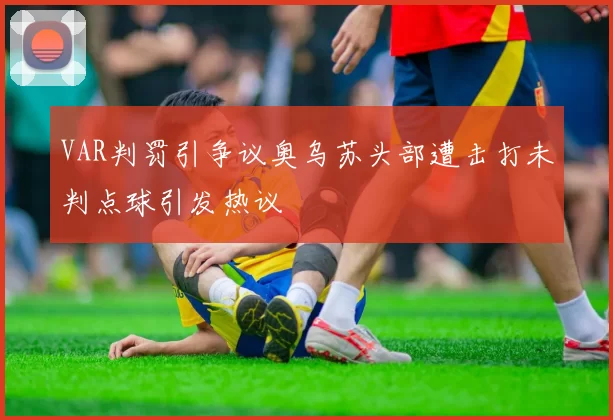 VAR判罚引争议奥乌苏头部遭击打未判点球引发热议