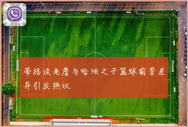 蒂格谈老詹与哈珀之子篮球前景差异引发热议